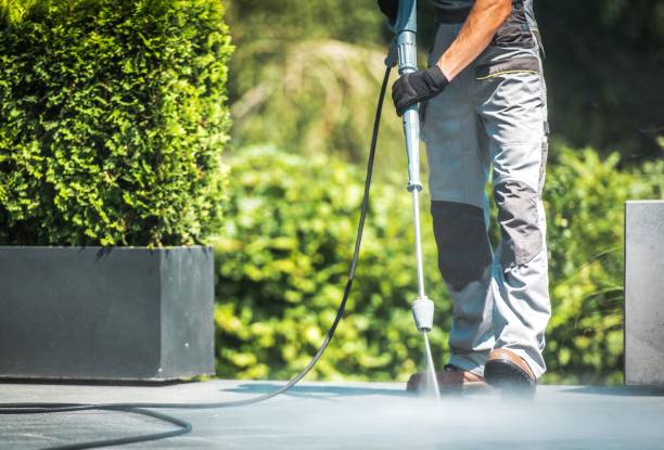 Best Gutter Cleaning and Brightening in Pearl, MS